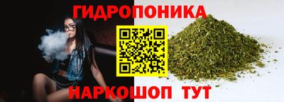 шишки Пушкино